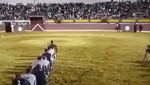 图片[3]-11.27生活趣味冷知识 - 旧人软件阁-旧人软件阁