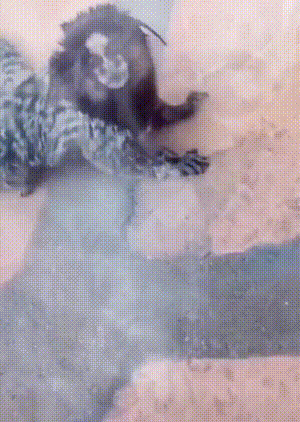 图片[4]-12.13生活趣味冷知识 - 旧人软件阁-旧人软件阁