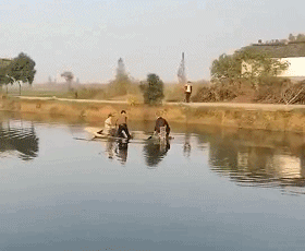 图片[3]-12.17生活趣味冷知识 - 旧人软件阁-旧人软件阁