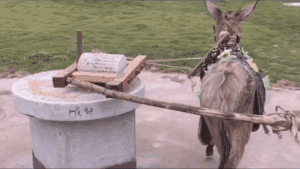 图片[2]-1.4生活趣味冷知识 - 旧人软件阁-旧人软件阁