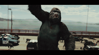 图片[3]-1.6生活趣味冷知识 - 旧人软件阁-旧人软件阁