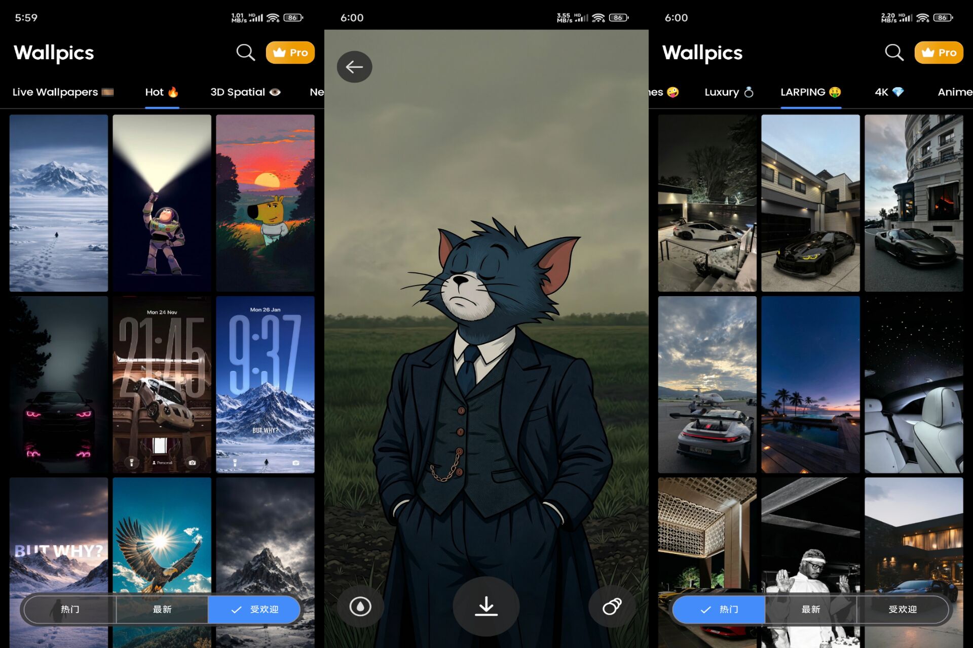 Android 椰树壁纸v1.0.62(解锁会员)-旧人软件阁