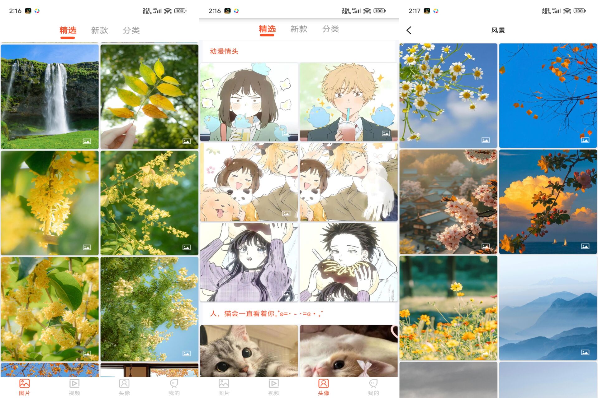 Android 好看手机壁纸v1.0.5(解锁会员)-旧人软件阁